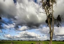 焦虑症的表现和症状怎么办,焦虑症的表现和症状是什么