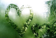 强迫症需要多长时间走出来?,强迫症多长时间能治愈