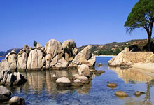 失眠症候群,失眠症候群小说