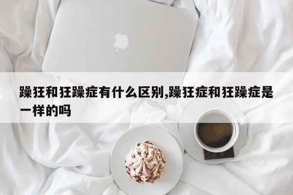 躁狂和狂躁症有什么区别,躁狂症和狂躁症是一样的吗